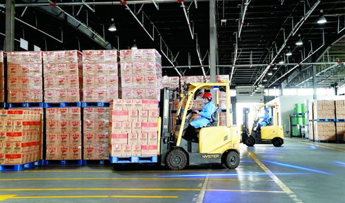 上海666家重點企業(yè)復工復產(chǎn)穩(wěn)步推進，運輸能力逐步恢復